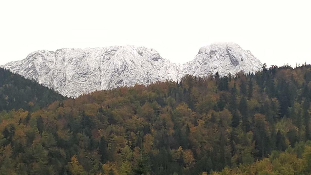Apartament 33.13.A. Zakopane Luaran gambar